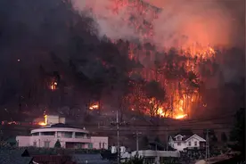 韩国庆尚北道山火已造成16人死亡图片