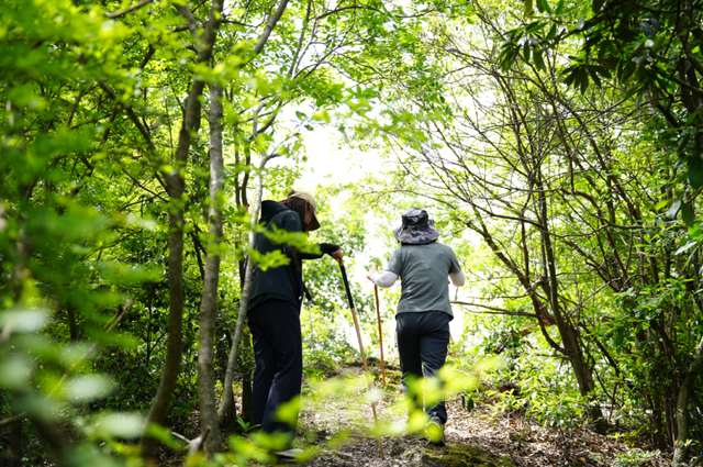 藏不住了！诸暨9个村，周末走起~