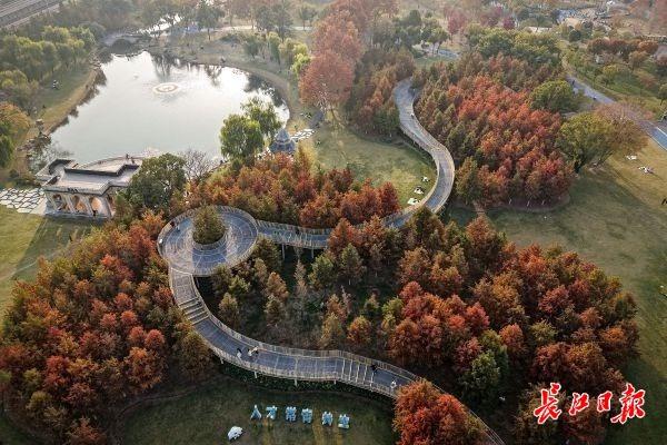 藏在公园里的浪漫栈道