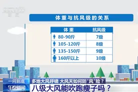 大风已上线！你的体重，能扛住多大的风？图片