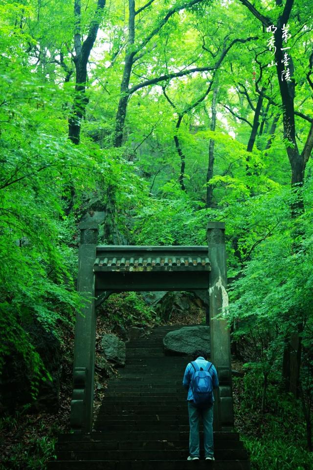 栖霞山这个野生乌托邦，专治各种规规矩矩！