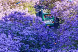 与许纪霖同游云南（3.5-10），重温西南联大的光荣与梦想图片