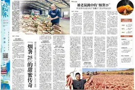 好山东|6年累计推广至31个省份，“烟薯25”的甜蜜传奇图片