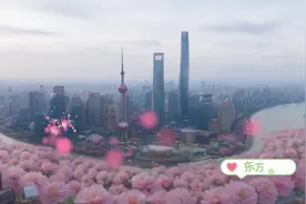 好物齐刷刷丨贝朗新款智能马桶图片