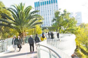 “大翠湖历史人文旅游圈”从规划蓝图变为实景画卷 绿道连双景 百年入画来
