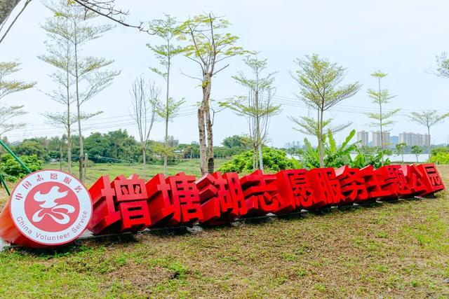 志愿同行，爱心不止！增城这群“追光者”用行动温暖全城