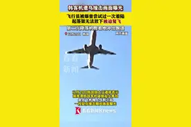 韩客机遭鸟撞画面曝光 或在尝试二次着陆时坠毁图片