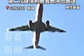 韩客机遭鸟撞画面曝光 或在尝试二次着陆时坠毁图片