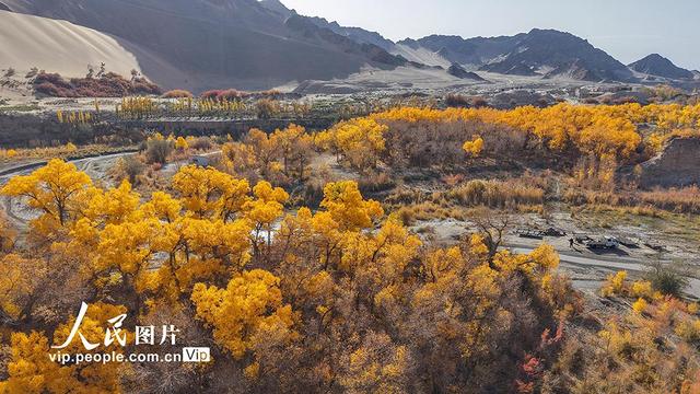 胡杨峡景区秋景如画