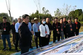 平冈镇人大组织阳江市、江城区两级人大代表开展集中视察活动图片