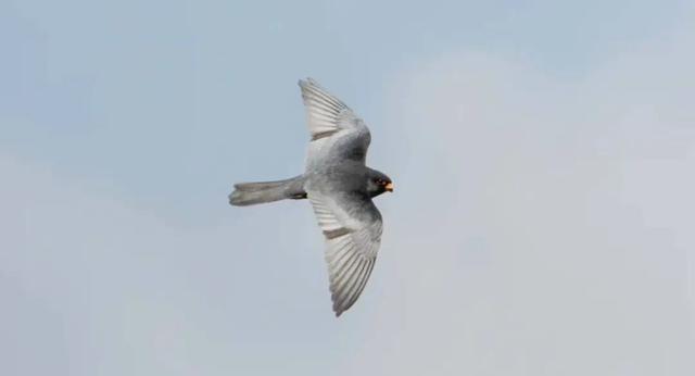 无锡最新追“星”指南，速收藏！