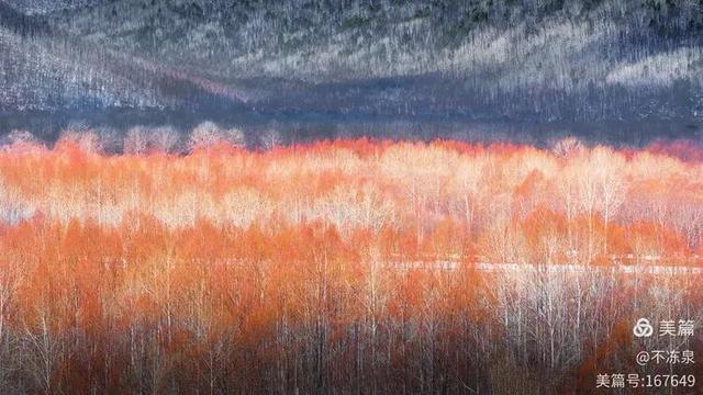 冷极秘境——2025年呼中的冬雪魅景