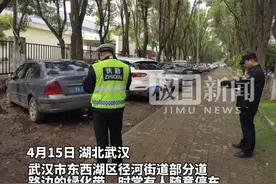 绿化带现乱停车现象，东西湖区径河街执法路长安装隔离桩护绿图片
