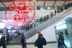 G视觉丨“多管齐下”促就业，我省节后稳岗成效显著图片
