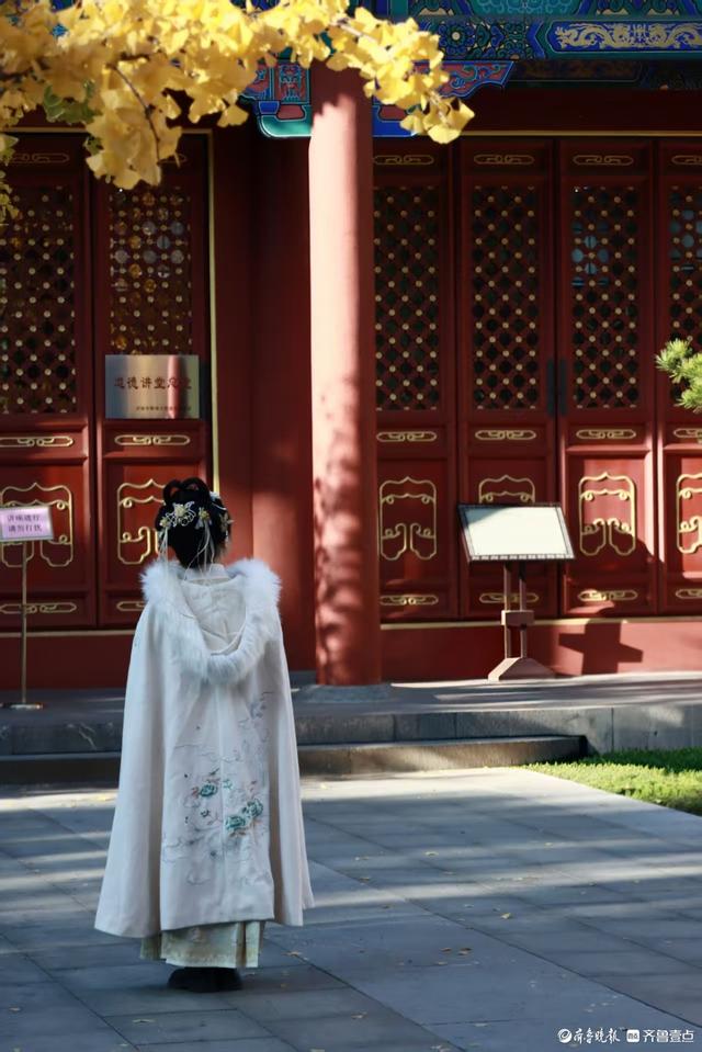 文庙秋韵，金叶叩红墙