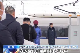 节前春运出行迎来小高峰 全社会跨区域人员流动量预计超2.2亿人次图片