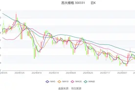 苏大维格：2024年上半年净利润3424.47万元 同比增长181.23%图片