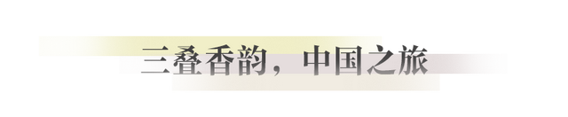 成都，耍起｜从阅读到香氛的多维漫游