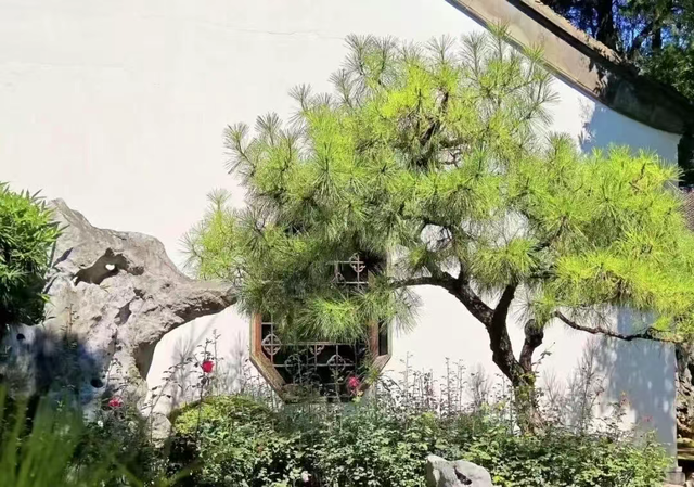 这个元旦假期，把时光“浪费”在秦淮最美的园子里~