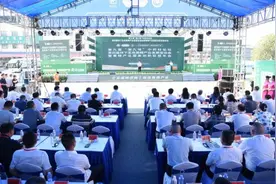 黄精国家行业标准在湖南新化发布图片