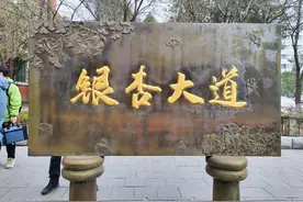 558棵，平均120岁！辽宁第三大城市古树群来了图片