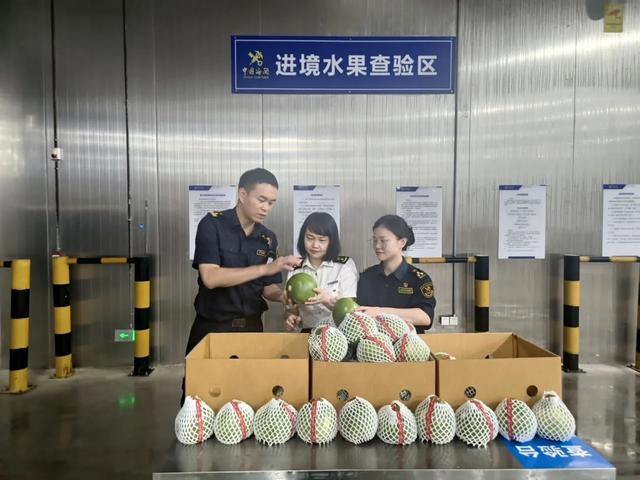 青年突击队奋战鄂州花湖国际机场纪实