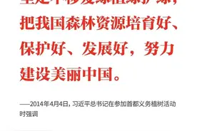 学习日历｜2024年4月4日图片