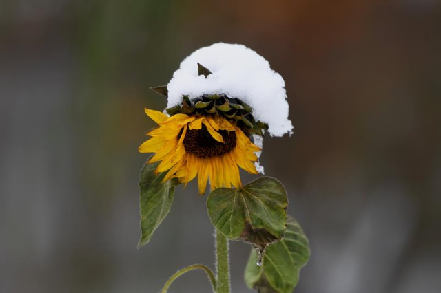 12月，必须来沈阳了！