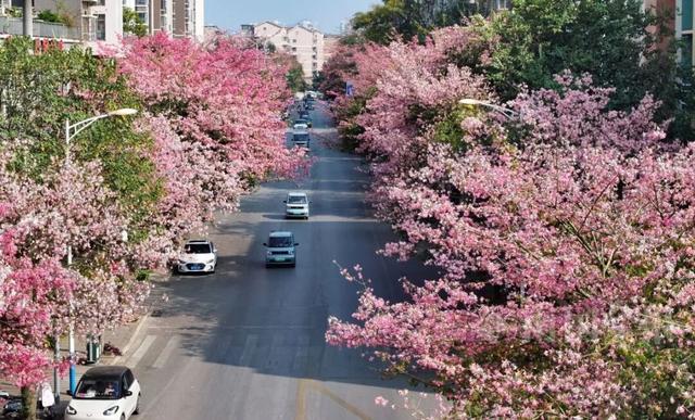 柳州，彩色刷屏！大反转也要来了！