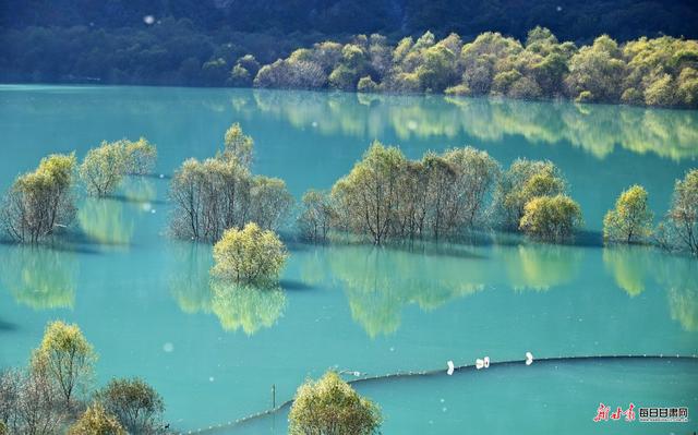 文县初冬藏着最动人的江河秘境