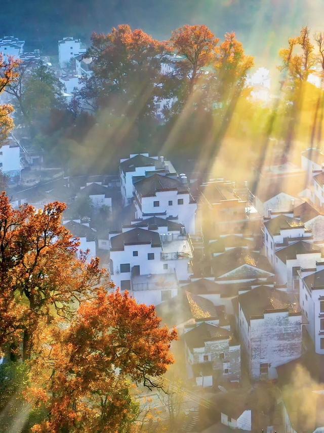 今日大雪丨一城风物，正宜冬藏