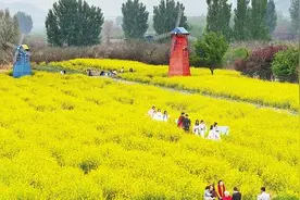 春暖“花经济”图片