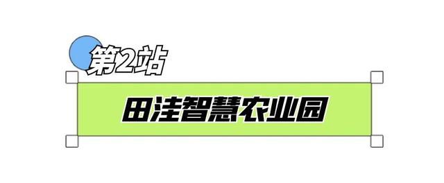 “宝藏小城”藏不住！宿城这些地方被全省推介