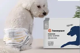 卖宠物纸尿裤的悠派科技要上市，但这个赛道还太小众图片