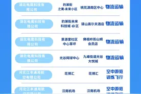打飞的、空中观光、送快递……武汉批复24条低空经济航线！图片