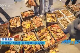 肉眼难辨！这三种最容易混淆的常见蘑菇，认错易中毒图片