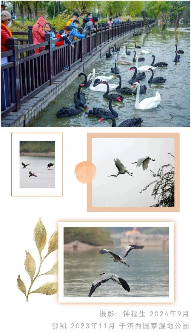 济南的秋天，大电影质感！