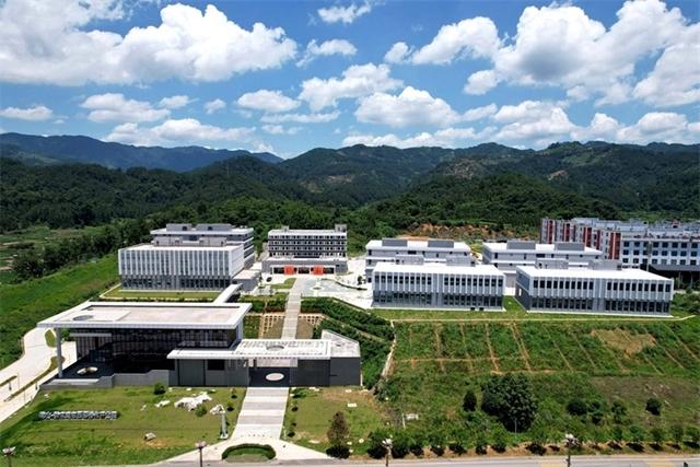 “桥头堡”倾听大湾区潮声