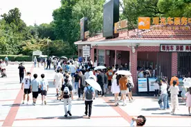 “宝，辛苦了，这么热还来长沙玩”，40℃的长沙到底有谁在啊？图片