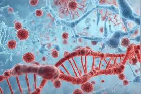 抗艾滋病基因起源的新认识图片