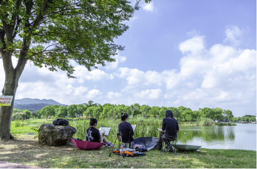 南京浦口：老山生态美学空间启幕，打造全域艺术新场景