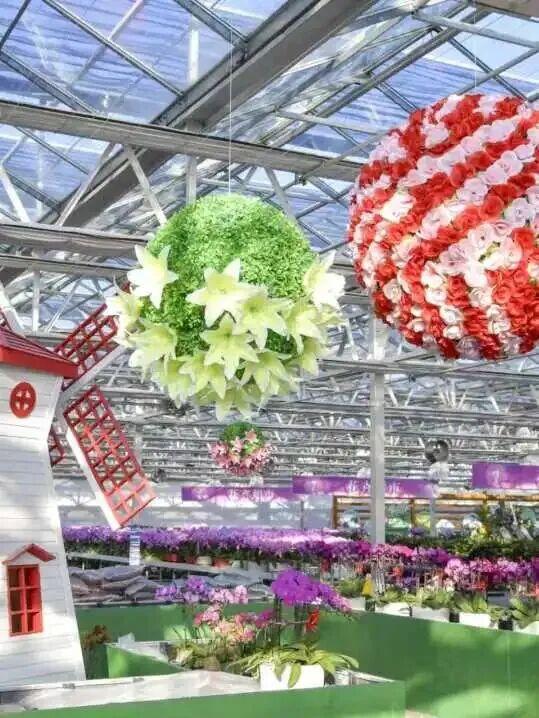 家庭园艺嘉年华｜北京兰花文化嘉年华将于明日启幕