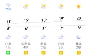 即将放晴，一起去踏青吧！望城赏花攻略送你图片