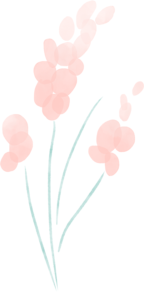 余杭秋日花海，开了！