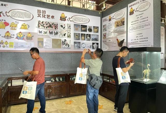 瞰见“百千万”丨网红大咖学技能 网络强村添助力