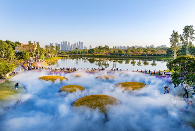 广西南宁：水雾弥漫绚烂花海 市民乐享冬日浪漫