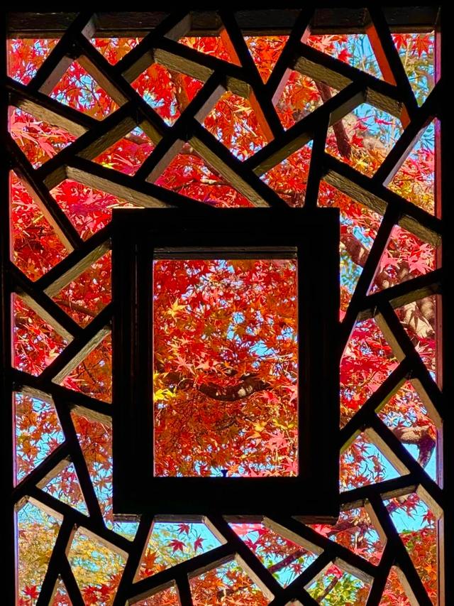 正式亮相！古城添新，相约最美的季节~