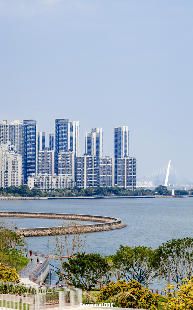 “看牛看海看夜景，深圳骑行路线精选”