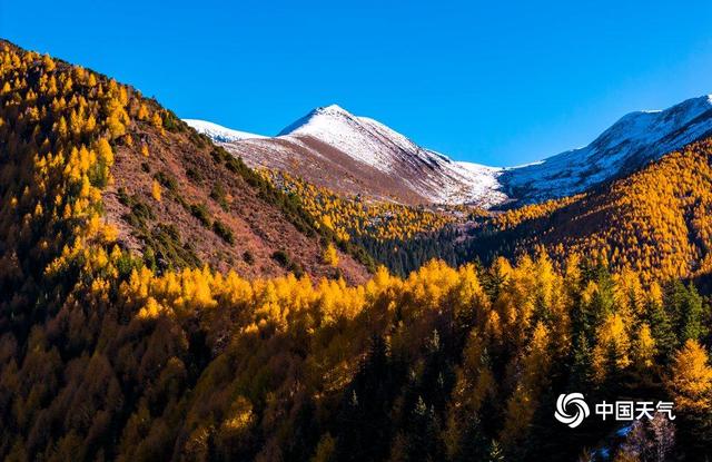 秋到南方 赴一场秋叶的绚烂之约