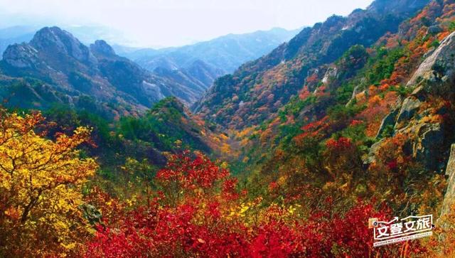 冬游威海 | 2025-2026威海（文登）康养生活季邀您共赴山海之约